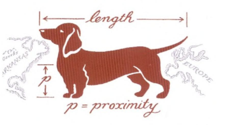 Dimensions of a sausage dog